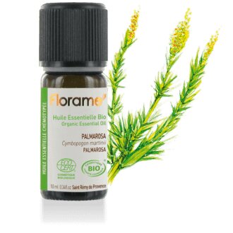 H.Essentielle GAULTHERIE ODORANTE BIO 10ML FLORAME