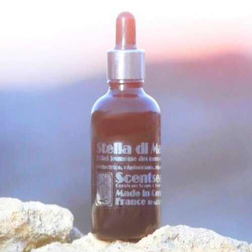 stella-di-mare-- corse-