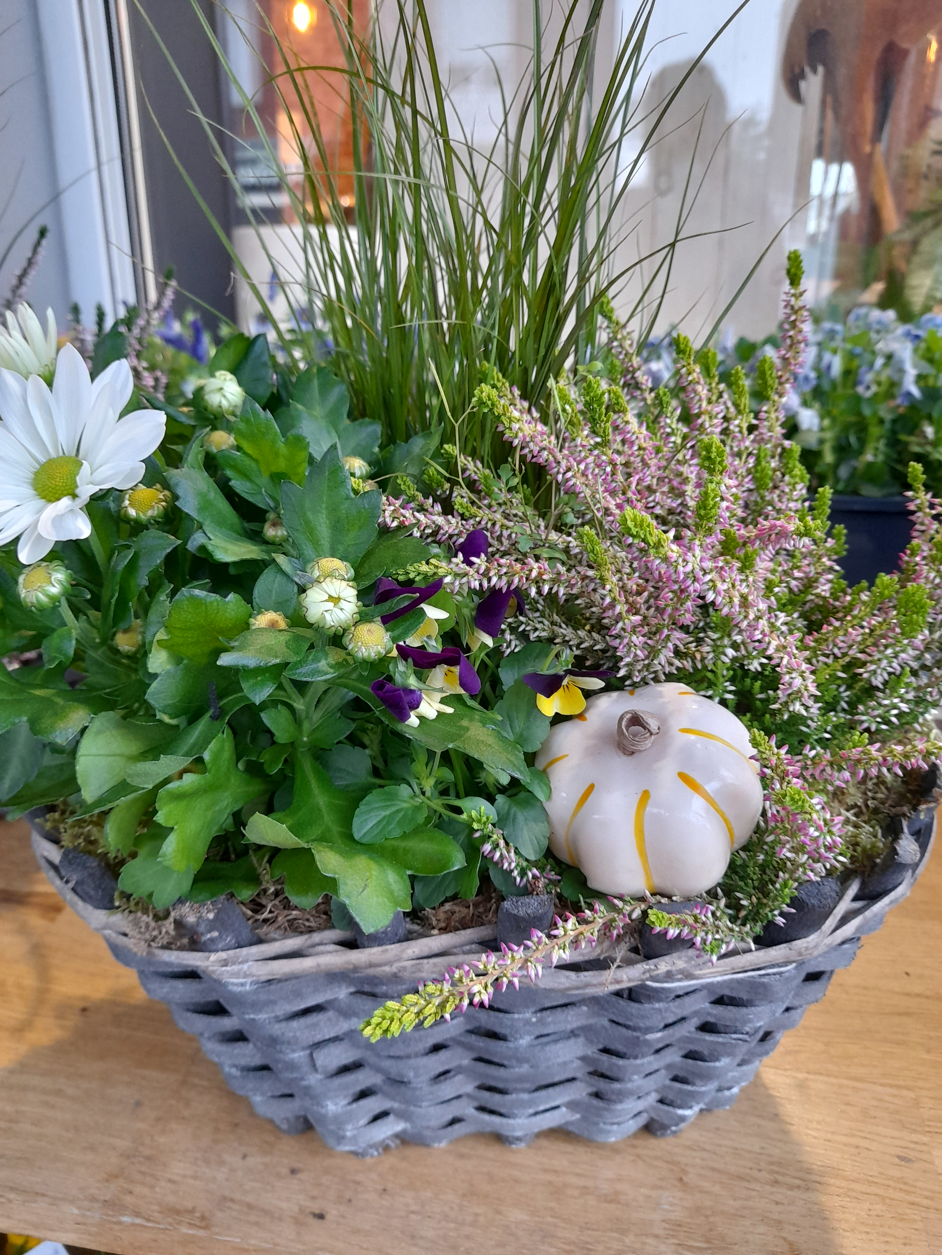 Composition coloquinte