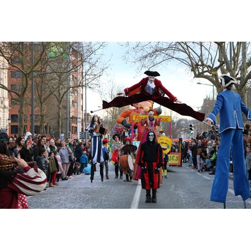 la marignère carnaval d'Albi 4