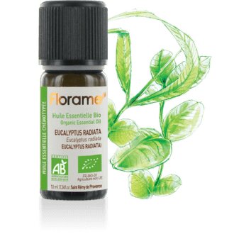 HUILE ESSENTIELLE EUCALYPTUS RADIATA 10ML FLORAME